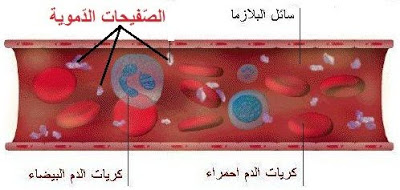 الدم by houssem - Ourboox.com