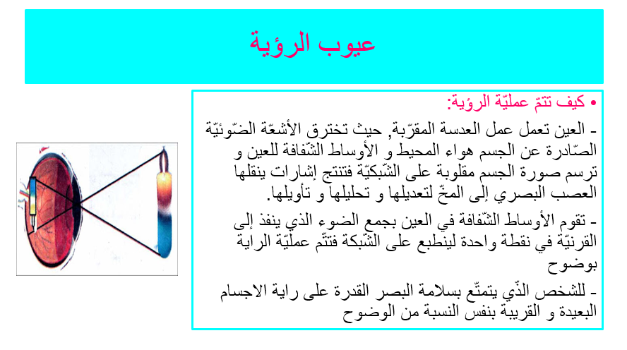 كتاب الإيقاظ العلمي by Abir Mejdoub - Ourboox.com