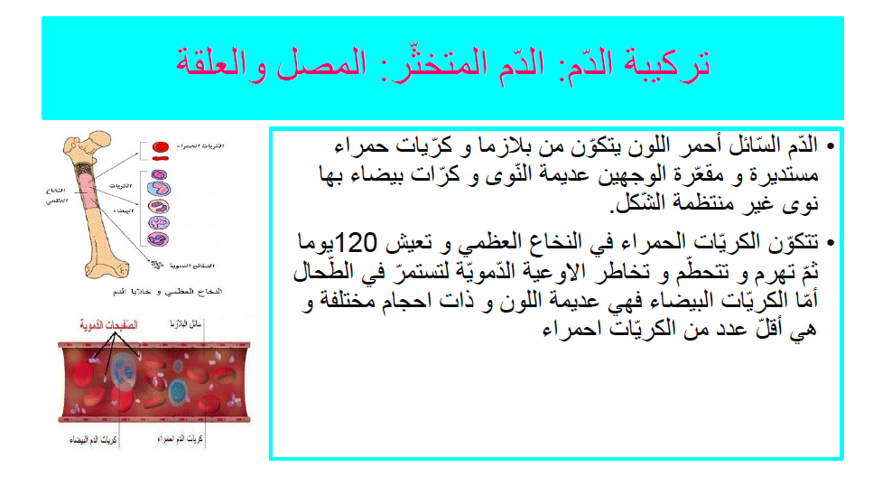 كيتاب الإيقاظ العلمي by Abir Mejdoub - Ourboox.com