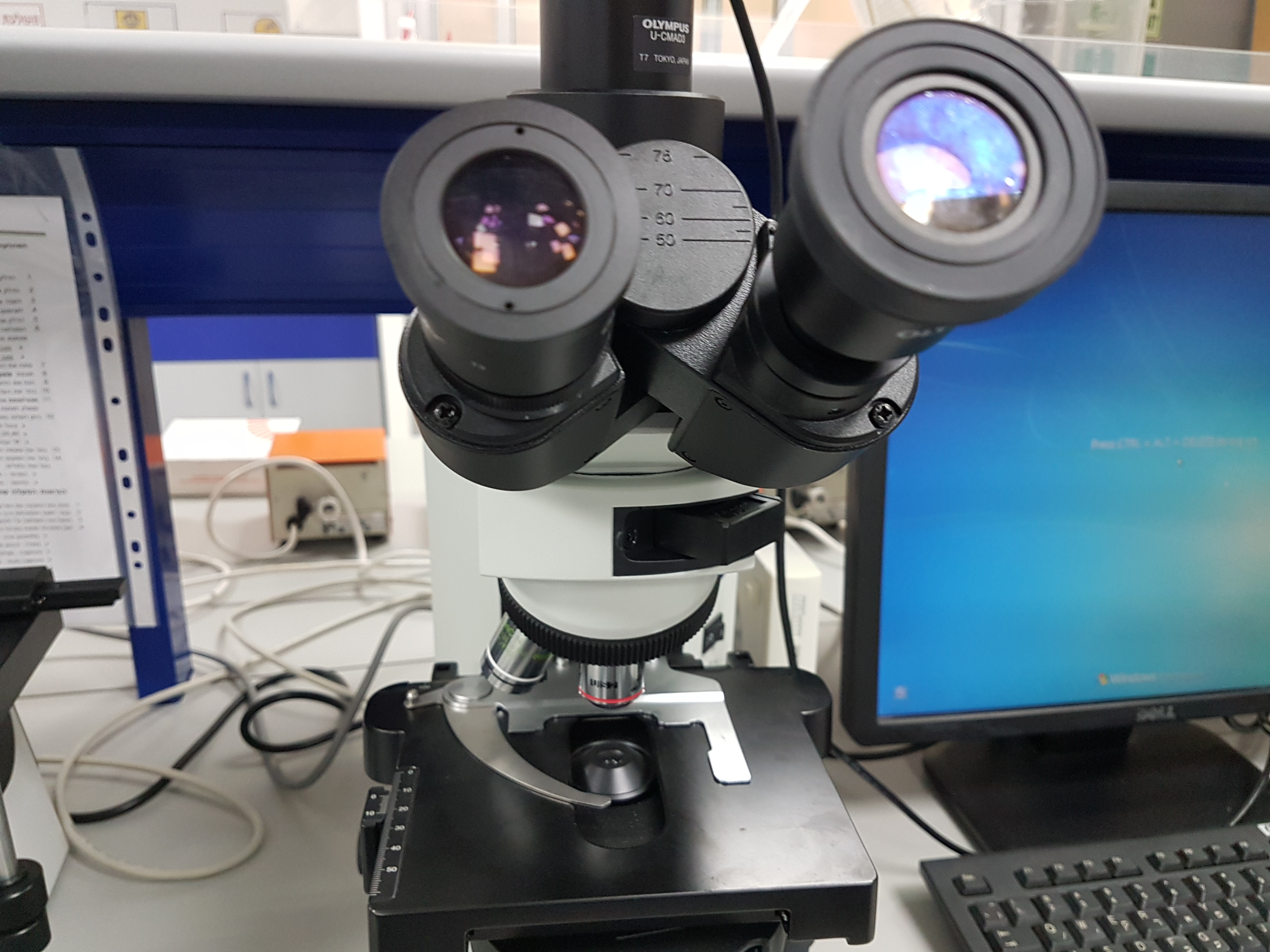 המכללה להנדסה על שם סמי שמעון by Nataly and Mika - Illustrated by נטלי ומיקה - Ourboox.com