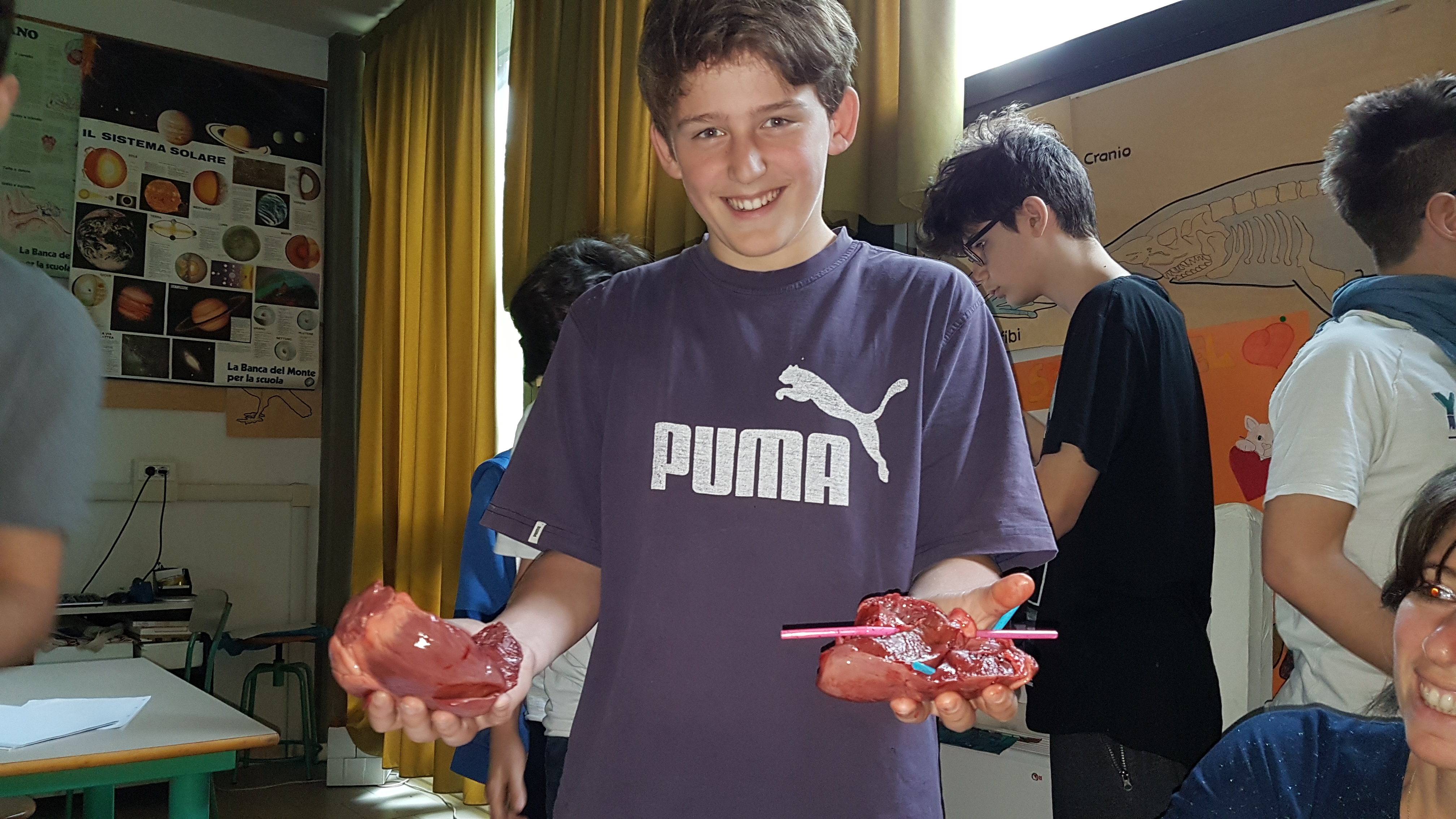 Il corpo umano by Riccardo - Illustrated by Riccardo Hysi, Gabriele Chiti - Ourboox.com