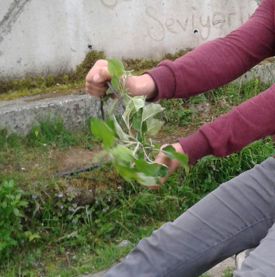 A STORY ABAUT A BOY by Tuğce aydın - Ourboox.com