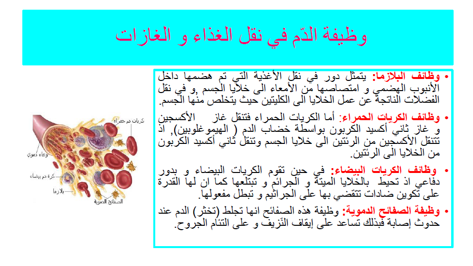 كتاب الإيقاظ العلمي by Abir Mejdoub - Ourboox.com