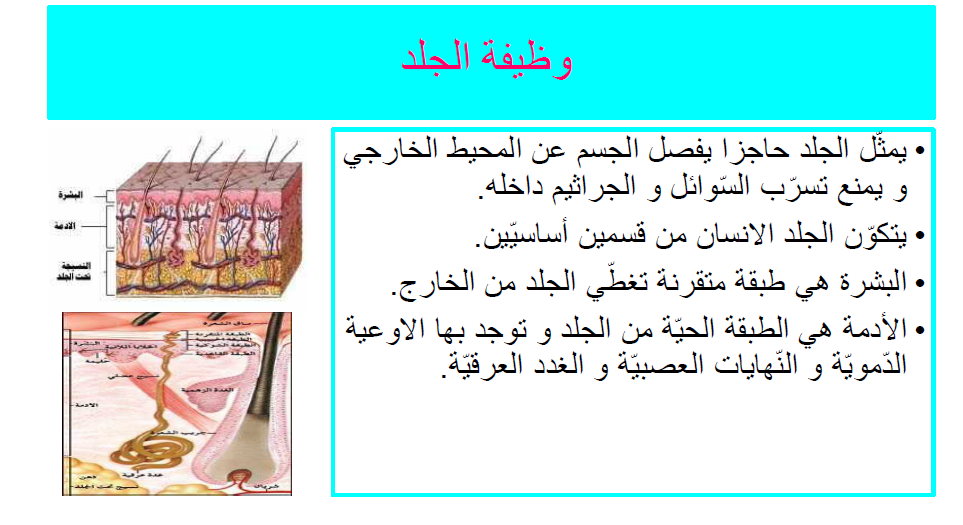 كتاب الإيقاظ العلمي by Abir Mejdoub - Ourboox.com