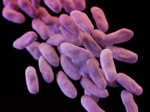 מלחמת החיידקים by harel - Ourboox.com