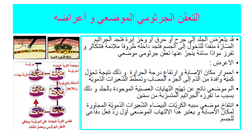 كتاب الإيقاظ العلمي by Abir Mejdoub - Ourboox.com