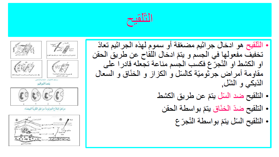 كتاب الإيقاظ العلمي by Abir Mejdoub - Ourboox.com