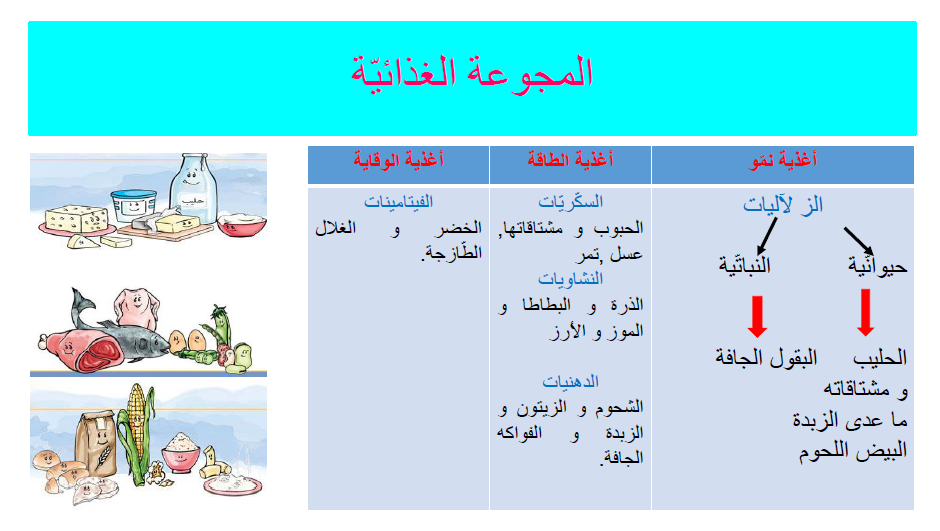 كتاب الإيقاظ العلمي by Abir Mejdoub - Ourboox.com