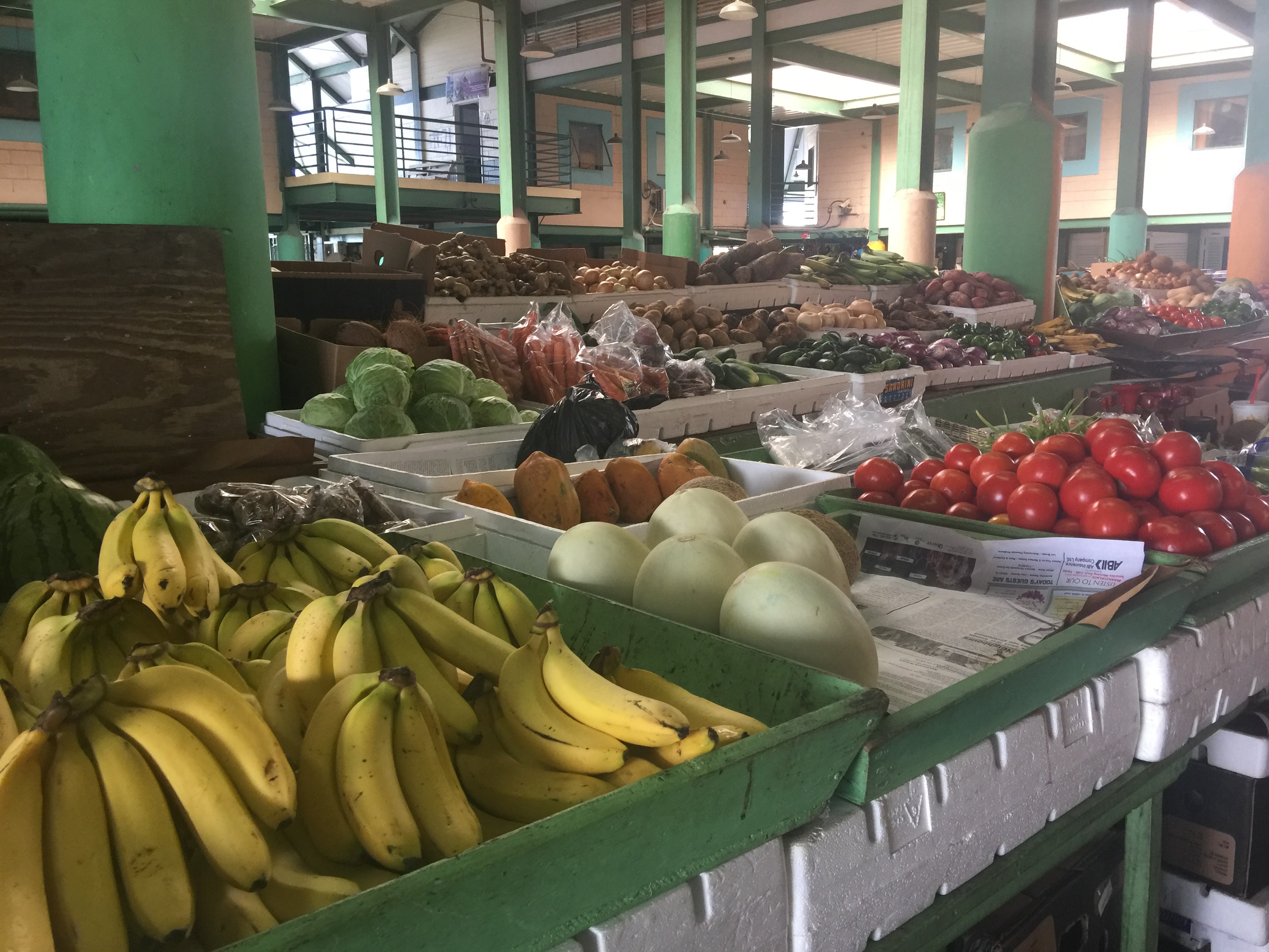 Passover Vacation by almakaufman  - Illustrated by alma kaufman - Ourboox.com