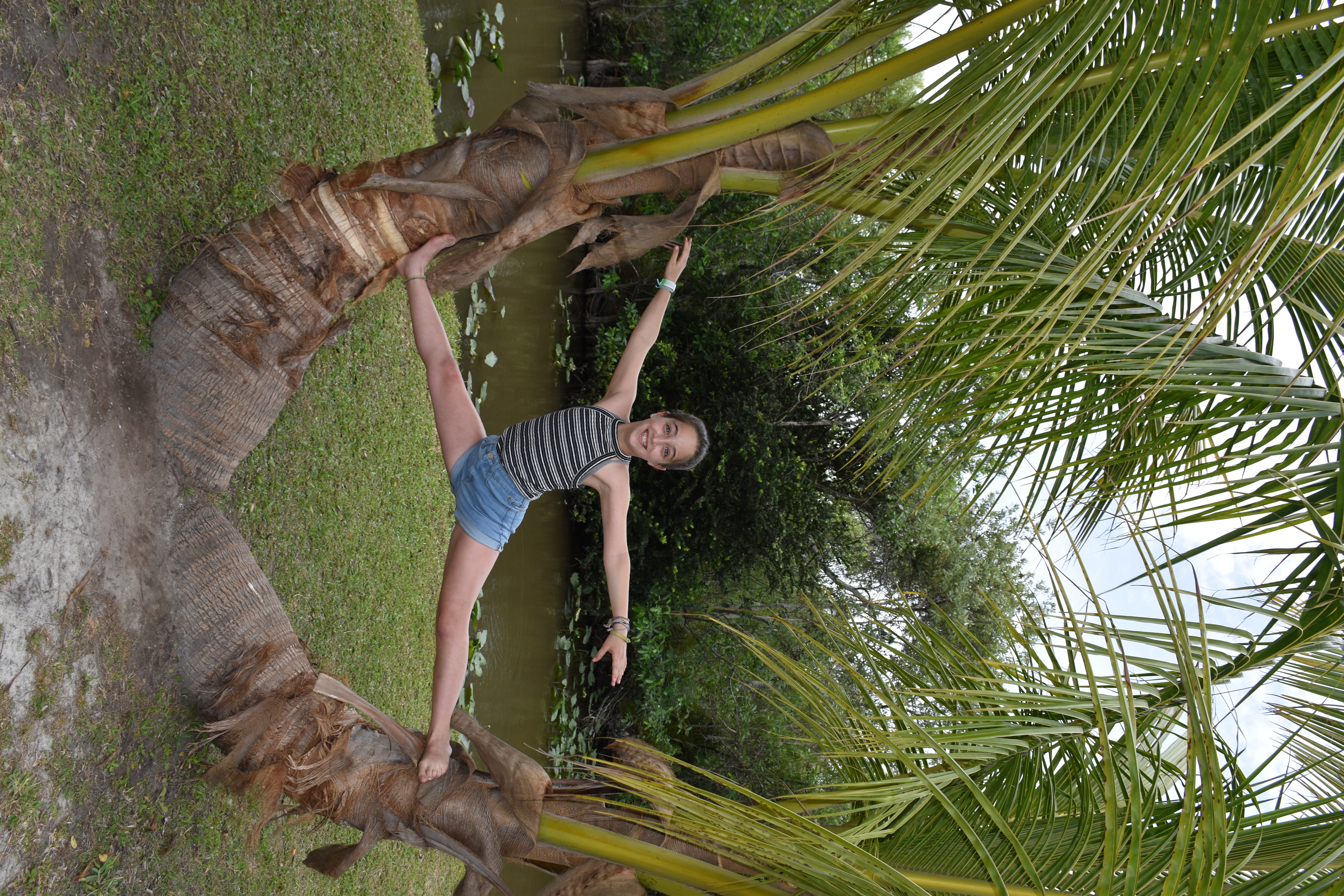 Passover Vacation by almakaufman  - Illustrated by alma kaufman - Ourboox.com