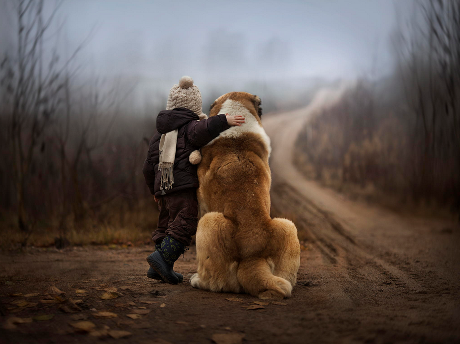 Man’s Best Friend by niki motilev - Ourboox.com