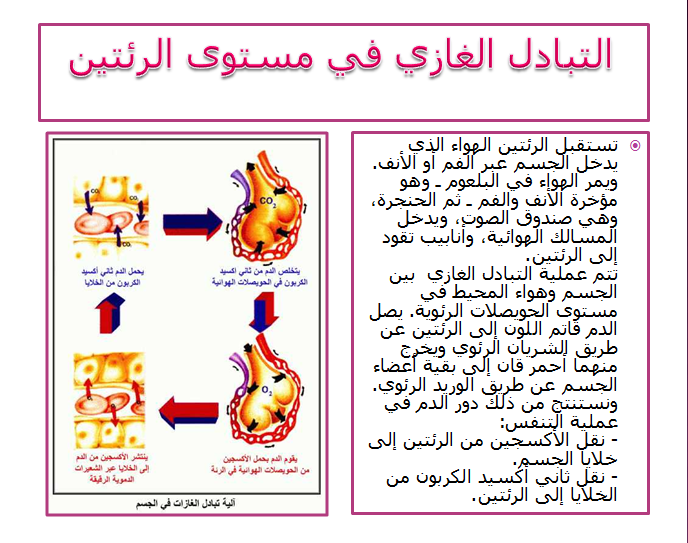 الهواء و التنفس by Rayene Mejdoub - Ourboox.com