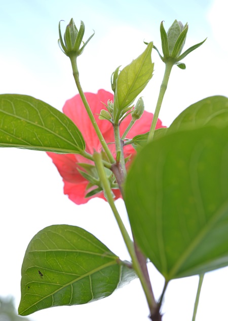 צילום by noyeli - Illustrated by נוי מאור  - Ourboox.com