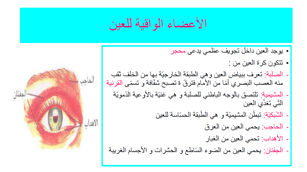 كتاب الإيقاظ العلمي by Abir Mejdoub - Ourboox.com