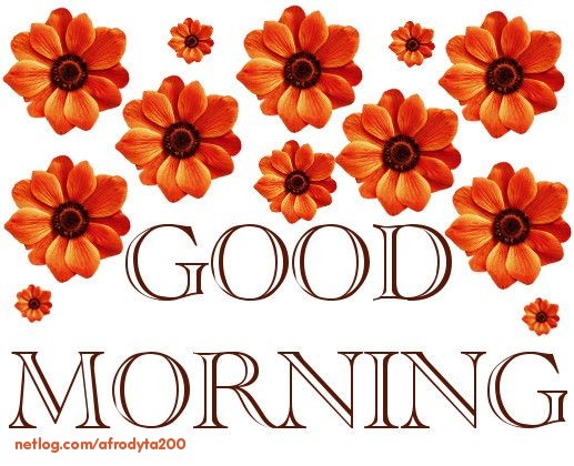 Aslan Mami ve Arkadaşları by Yıldırım - Illustrated by ERDOĞAN YILDIRIM - Ourboox.com