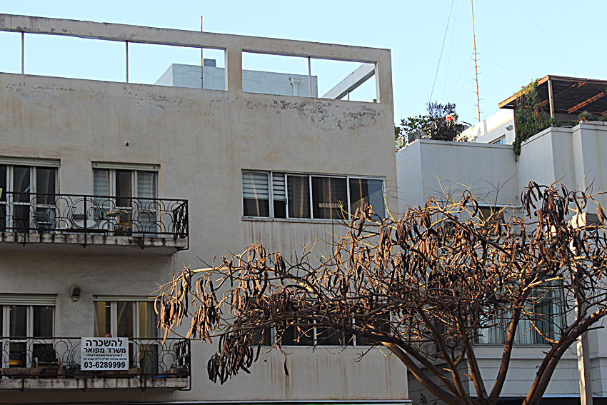 הפרויקט שלי :) by meshi - Ourboox.com