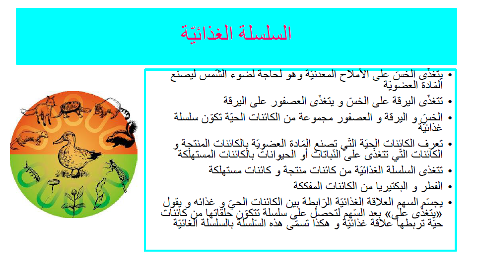 كتاب الإيقاظ العلمي by Abir Mejdoub - Ourboox.com