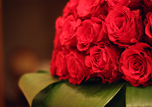 بعض من انواع الورود والزهور المختلفه by shorooq - Illustrated by شروق اغباريه - Ourboox.com