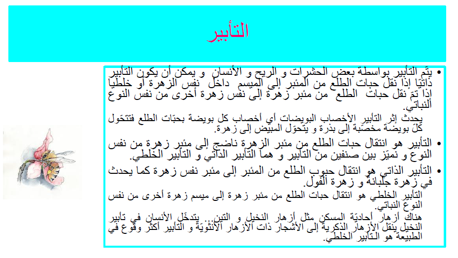 كتاب الإيقاظ العلمي by Abir Mejdoub - Ourboox.com