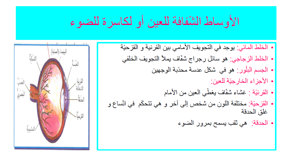كيتاب الإيقاظ العلمي by Abir Mejdoub - Ourboox.com