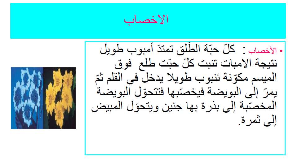 كتاب الإيقاظ العلمي by Abir Mejdoub - Ourboox.com