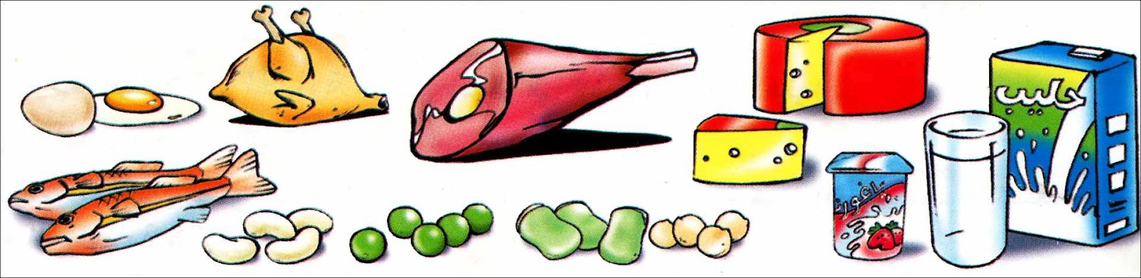 التغذية عند الانسان by ammar ezzine - Ourboox.com