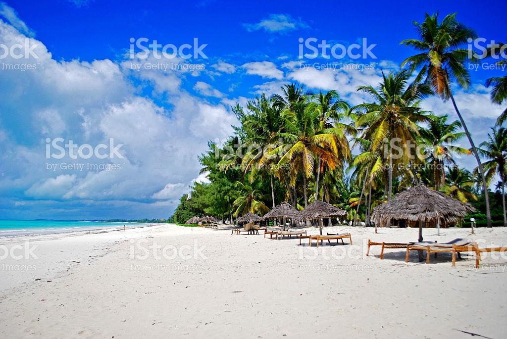 אמיר מטייל בעולם by raz vanunu - Ourboox.com