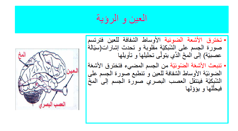 كيتاب الإيقاظ العلمي by Abir Mejdoub - Ourboox.com