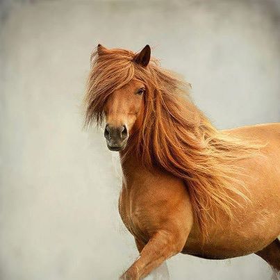 b by fatma - Ourboox.com