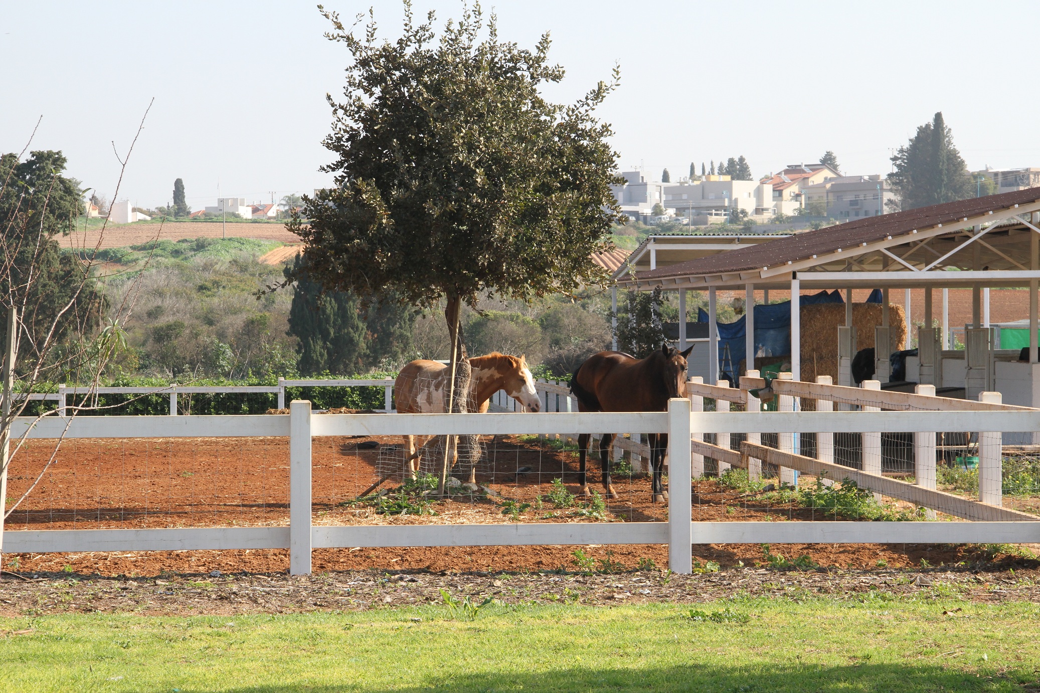 תינוקת חדשה במשפחה by mirit kalderon - Illustrated by מירית קלדרון - Ourboox.com
