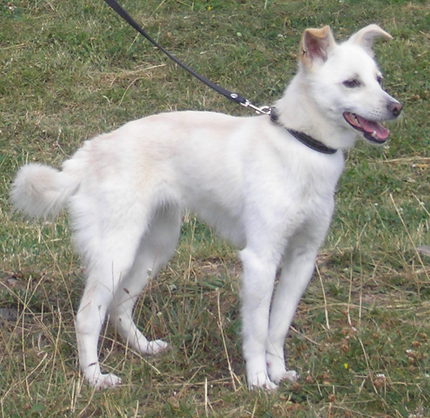 SUMMER PLANS by Fran Levin - Ourboox.com