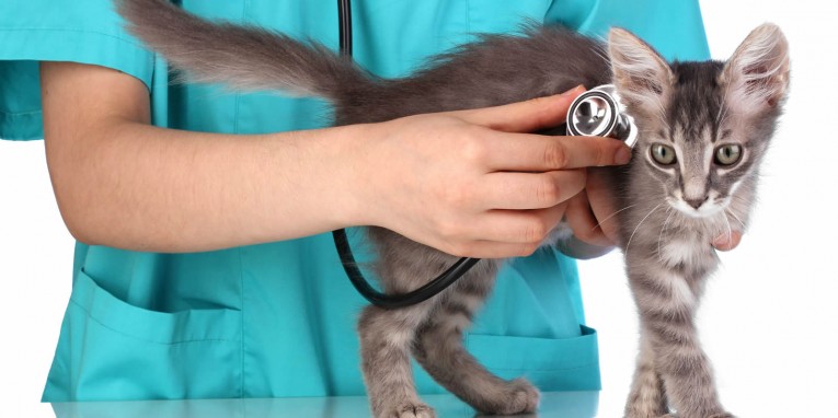 اصحاب المهن by jihantatour - Ourboox.com