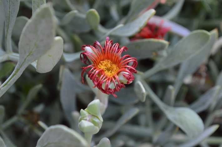 צילום by noyeli - Illustrated by נוי מאור  - Ourboox.com