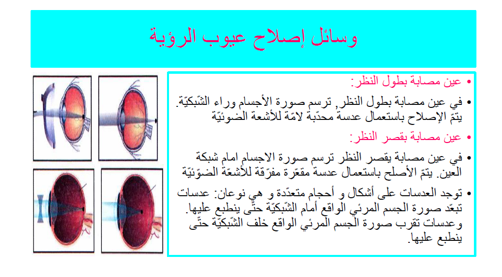 كيتاب الإيقاظ العلمي by Abir Mejdoub - Ourboox.com