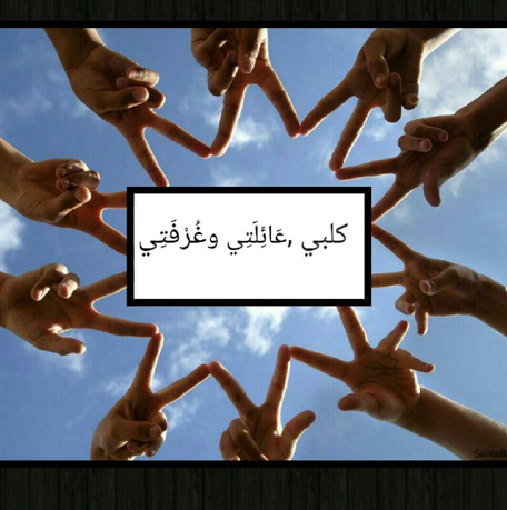 כלבי ,משפחתי וחדרי by raqui meit - Illustrated by רחל מייט וליהי וייסר - Ourboox.com