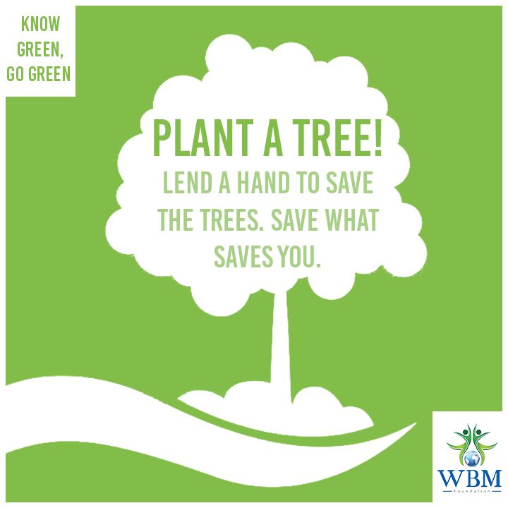 seve the planet -ahlam mhmed assdi by fifth grade - Ourboox.com