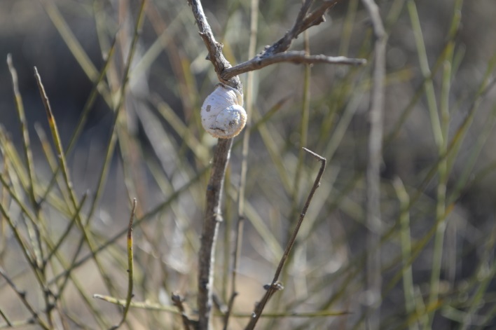 צילום by noyeli - Illustrated by נוי מאור  - Ourboox.com