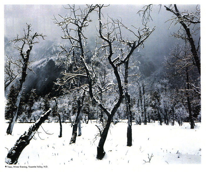 עבודה בצילום by shaked - Illustrated by שקד אליהו - Ourboox.com