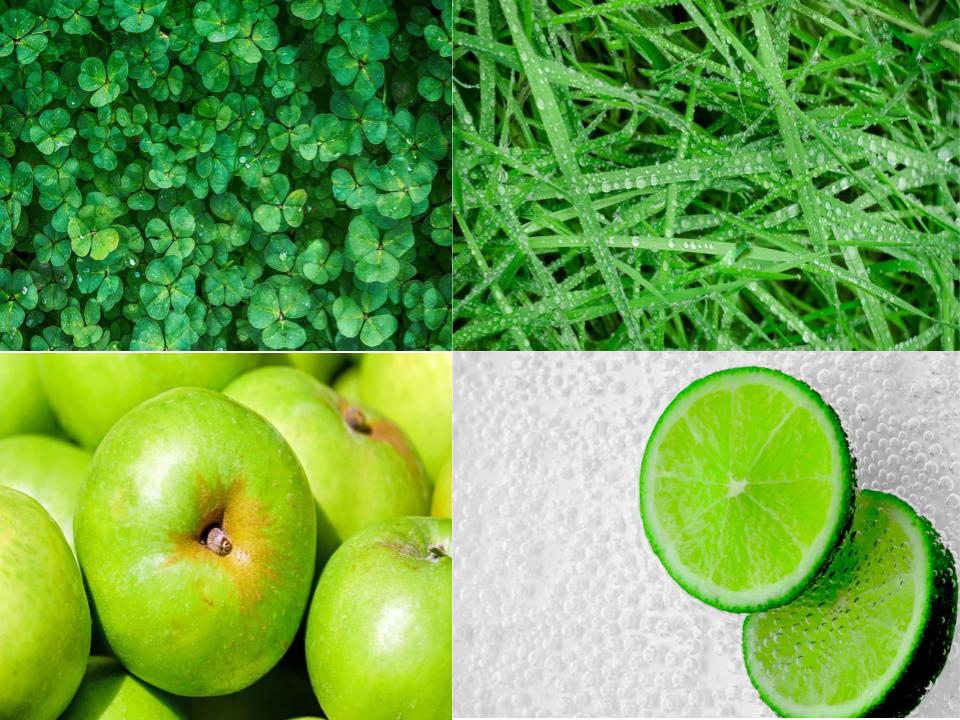 Martina’s Poetry Book by Martina Zupanoski - Illustrated by Martina Zupanoski - Ourboox.com