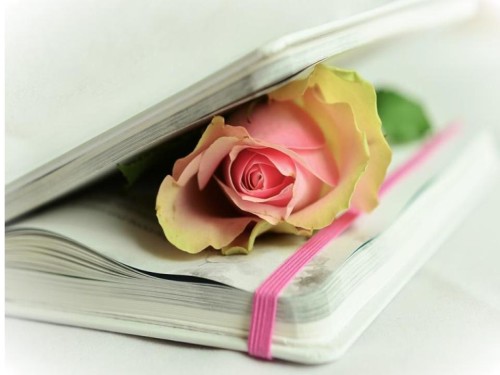 Martina’s Poetry Book by Martina Zupanoski - Illustrated by Martina Zupanoski - Ourboox.com