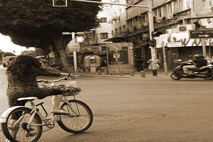 פרויקט בצילום by aviv kabaz - Illustrated by אביב כבאז - Ourboox.com