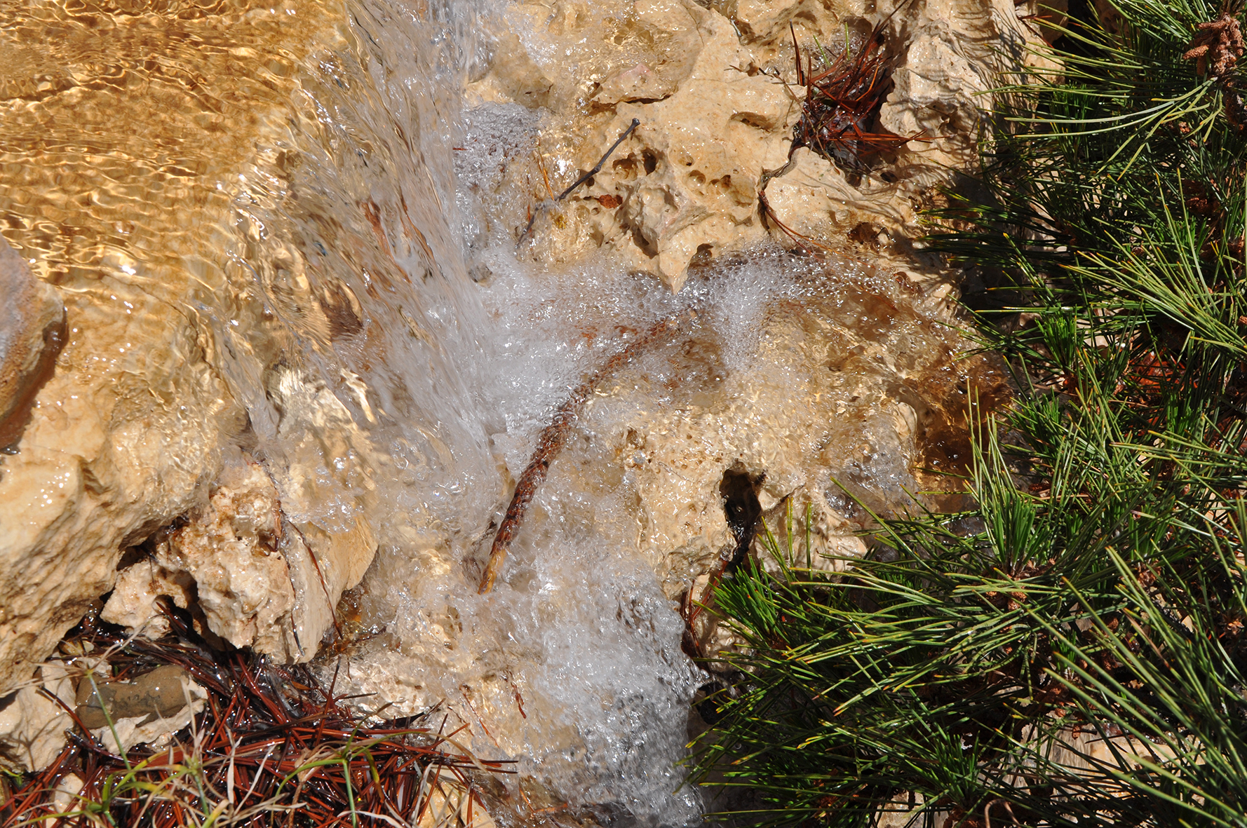 פרויקט גמר by yossi aronson - Ourboox.com