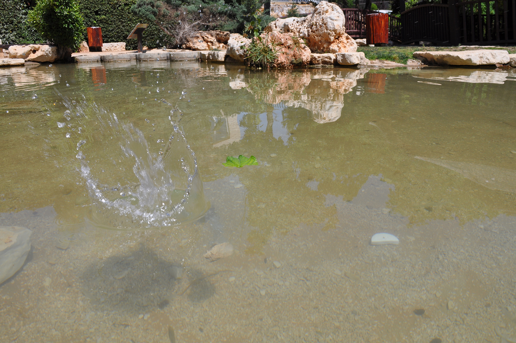 פרויקט גמר by yossi aronson - Ourboox.com