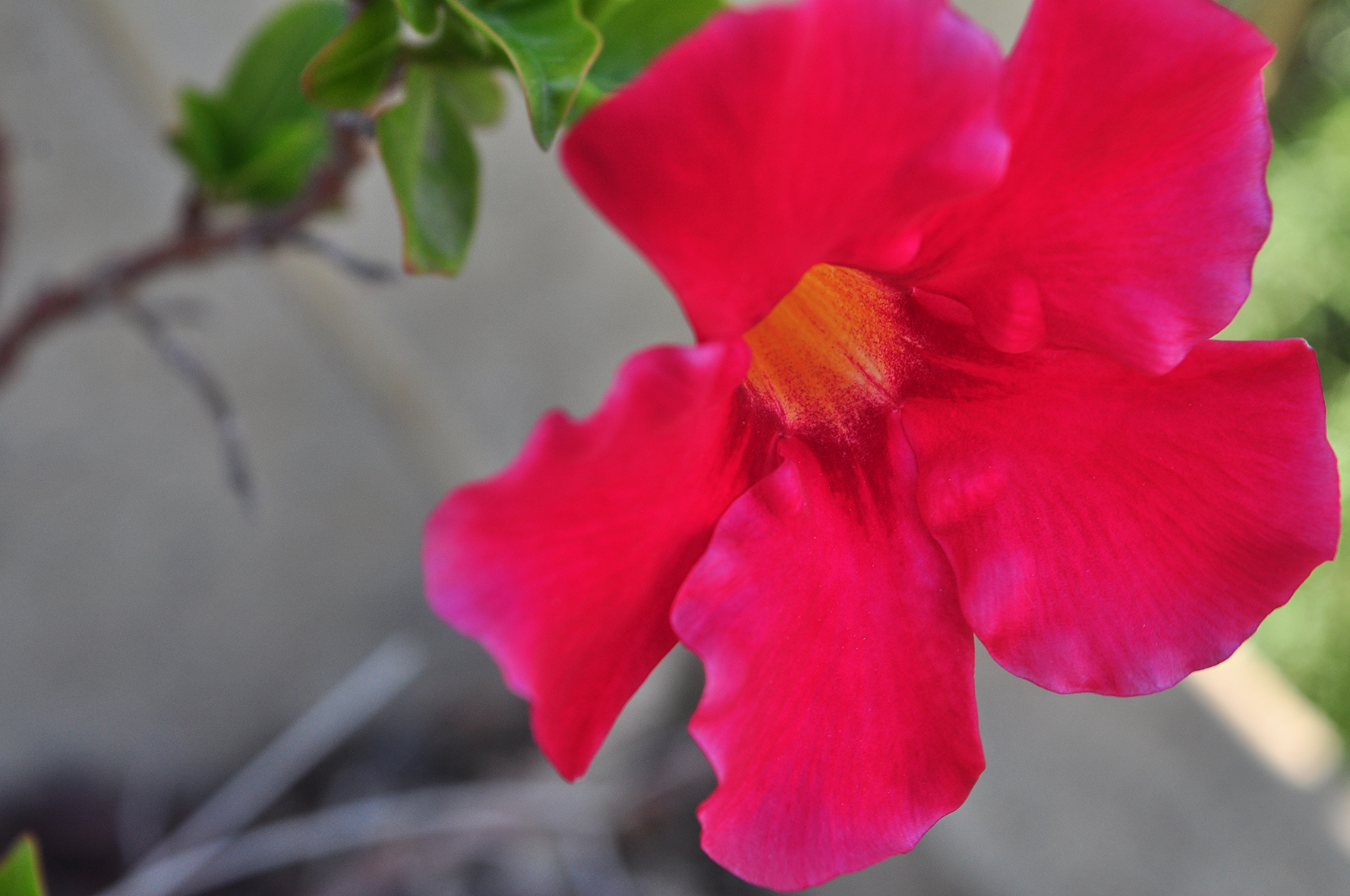 פרויקט גמר by yossi aronson - Ourboox.com