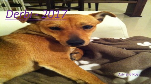 Derbi-2017 by Aviv - Illustrated by Aviv and Noa - Ourboox.com