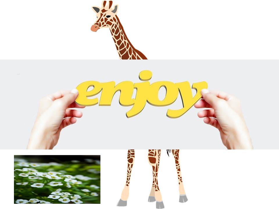 Tatiana’s Poetry Book by Tatiana Ortiz - Illustrated by Tatiana - Ourboox.com