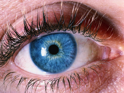 العين by mohamed - Illustrated by محمد المحمدي - Ourboox.com