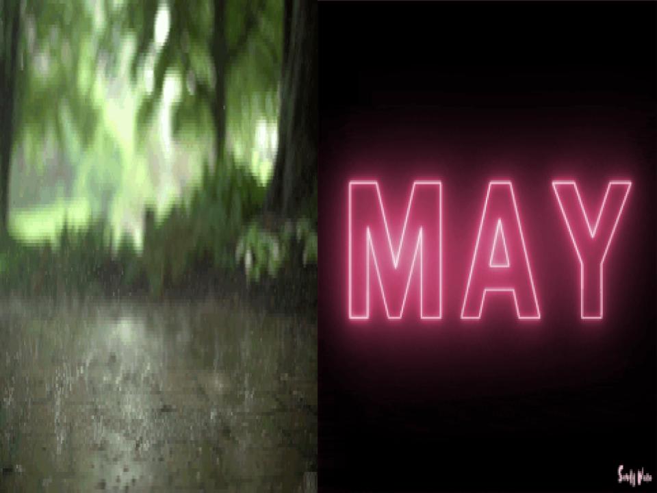 Martina’s Poetry Book by Martina Zupanoski - Illustrated by Martina Zupanoski - Ourboox.com