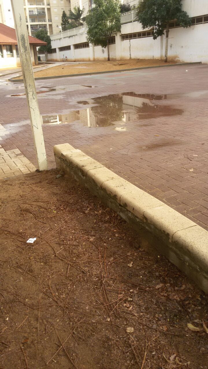 אמירים- Earth Art צילומי טבע by eti akrish - Illustrated by תלמידי אמירים שכבה ה - Ourboox.com