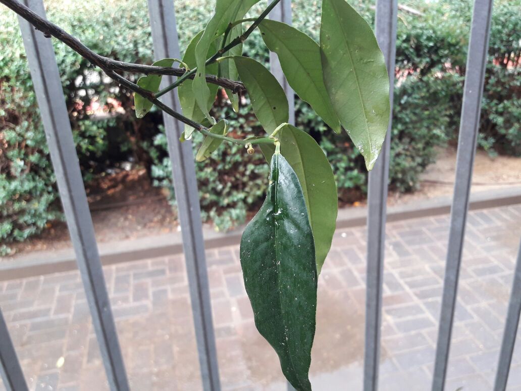 אמירים- Earth Art צילומי טבע by eti akrish - Illustrated by תלמידי אמירים שכבה ה - Ourboox.com